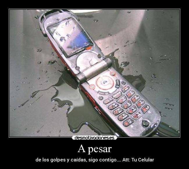 A pesar - de los golpes y caídas, sigo contigo.... Att: Tu Celular