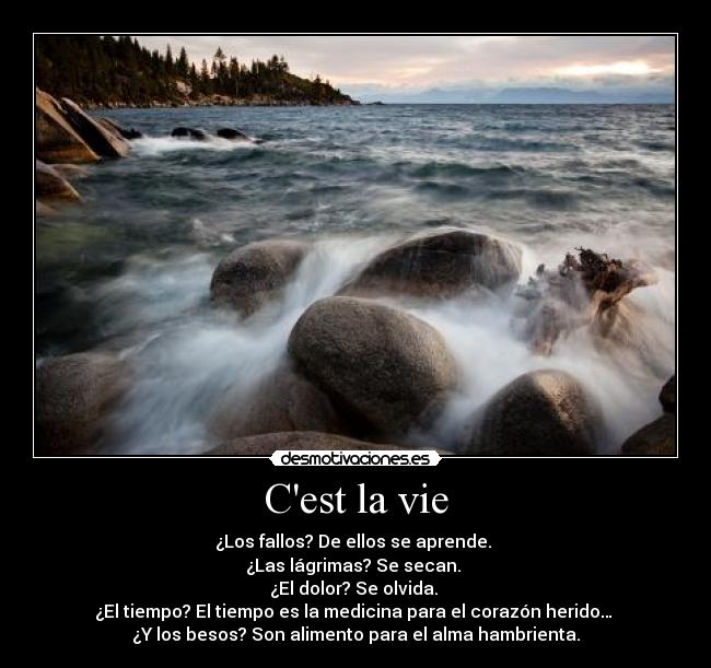 Cest la vie - ¿Los fallos? De ellos se aprende.
¿Las lágrimas? Se secan.
¿El dolor? Se olvida.
¿El tiempo? El tiempo es la medicina para el corazón herido…
¿Y los besos? Son alimento para el alma hambrienta.