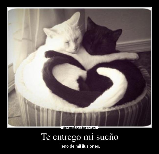 Te entrego mi sueño - 