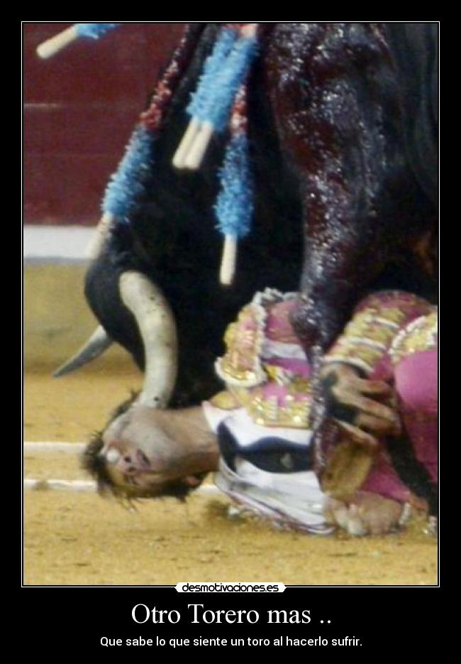 Otro Torero mas .. - Que sabe lo que siente un toro al hacerlo sufrir.