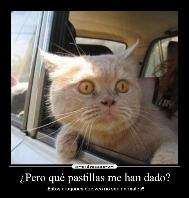 ¿Pero qué pastillas me han dado? - 