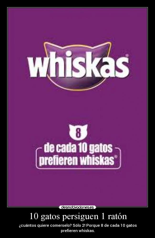 10 gatos persiguen 1 ratón -