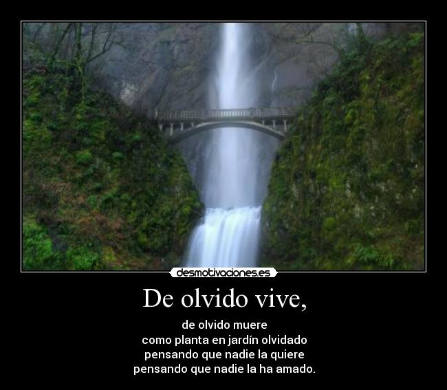 carteles mago cantar luna oscura desmotivaciones