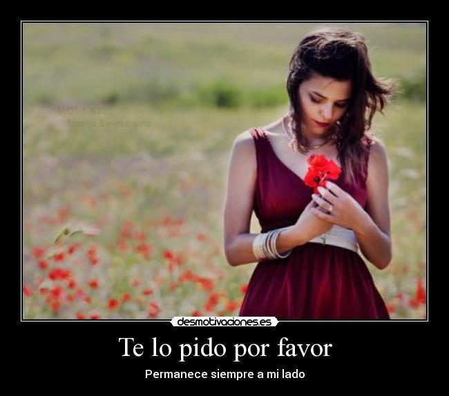 Te lo pido por favor - 