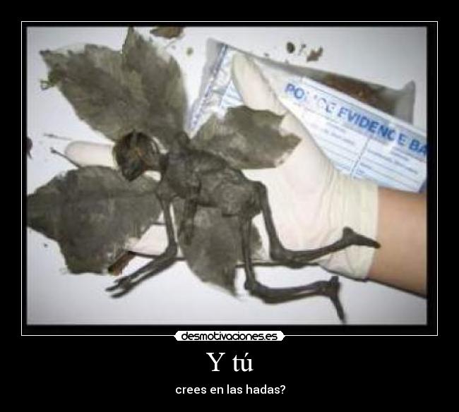 carteles hada desmotivaciones