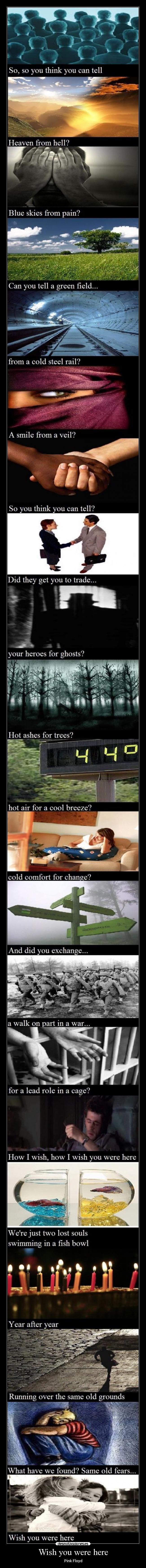 Wish you were here -