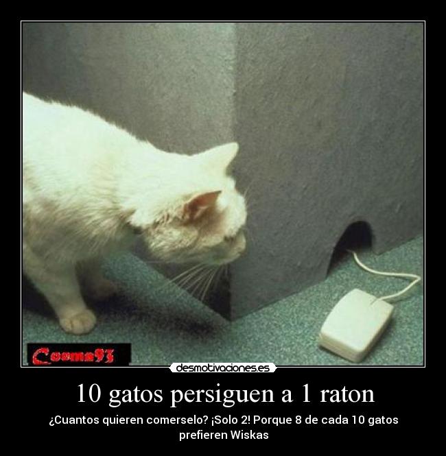10 gatos persiguen a 1 raton - ¿Cuantos quieren comerselo? ¡Solo 2! Porque 8 de cada 10 gatos prefieren Wiskas