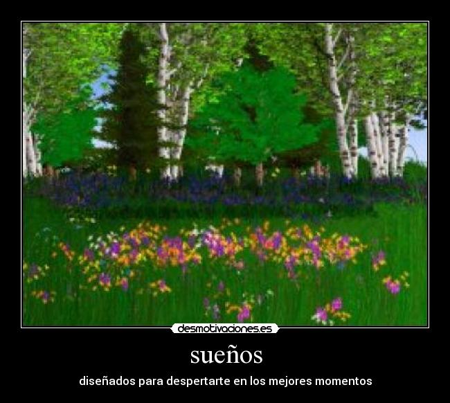 sueños - diseñados para despertarte en los mejores momentos