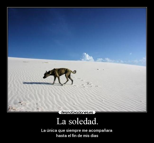 La soledad. - La única que siempre me acompañara
hasta el fin de mis dias