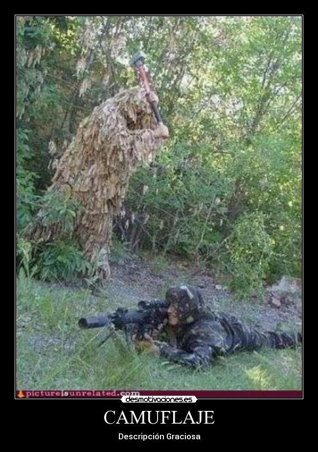CAMUFLAJE - Descripción Graciosa