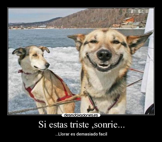 Si estas triste ,sonrie... - ...Llorar es demasiado facil