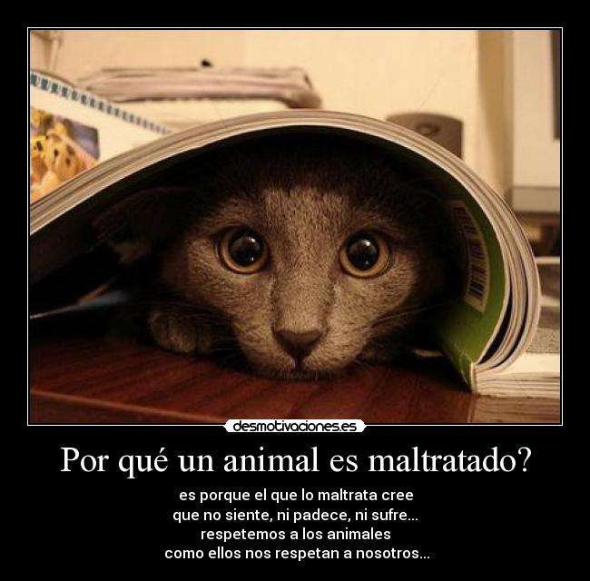Por qué un animal es maltratado? -