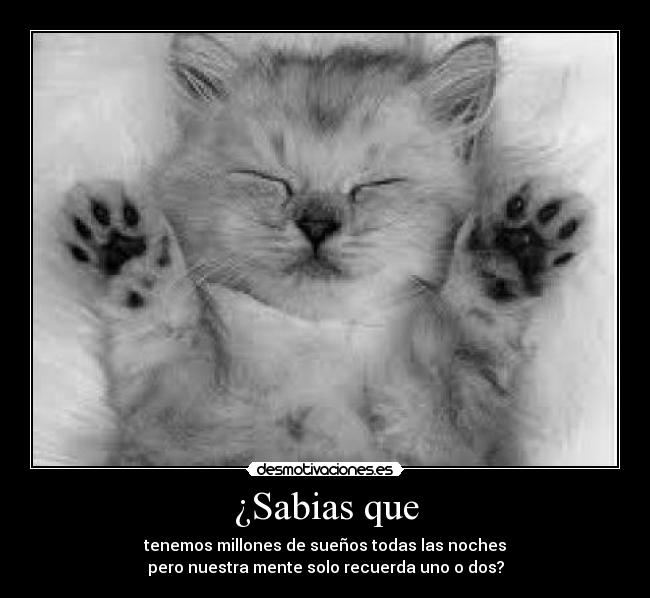 carteles suenos votame positivo desmotivaciones