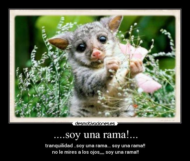 ....soy una rama!... - tranquilidad ..soy una rama... soy una rama!!
no le mires a los ojos,,,, soy una rama!!