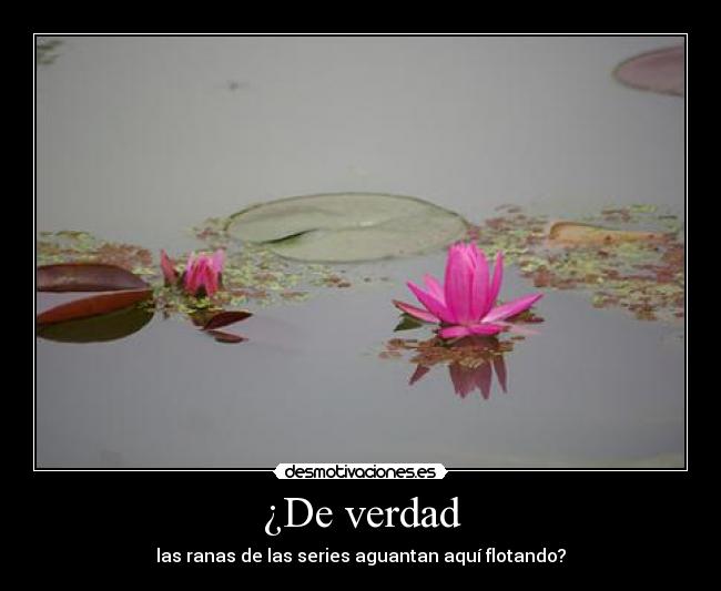 ¿De verdad - las ranas de las series aguantan aquí flotando?