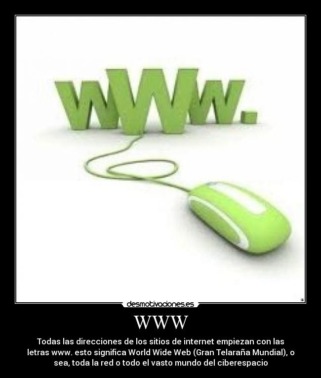 WWW -