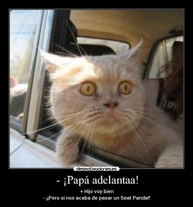 - ¡Papá adelantaa! - + Hijo voy bien
- ¡¡Pero si nos acaba de pasar un Seat Panda!!