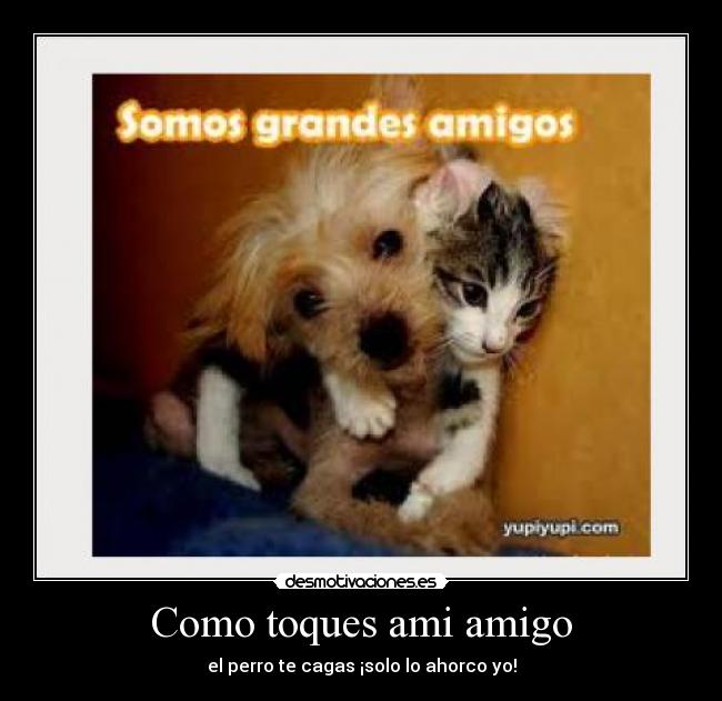 Como toques ami amigo - 