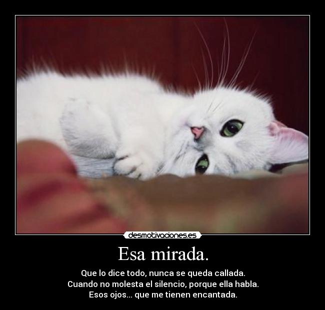 Esa mirada. - Que lo dice todo, nunca se queda callada.
Cuando no molesta el silencio, porque ella habla.
Esos ojos... que me tienen encantada.