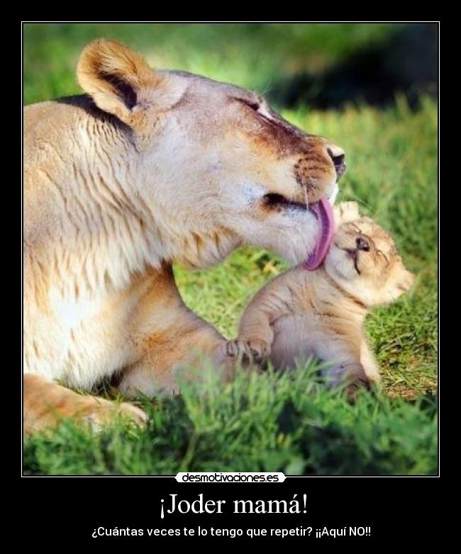 carteles lelelelelelele desmotivaciones