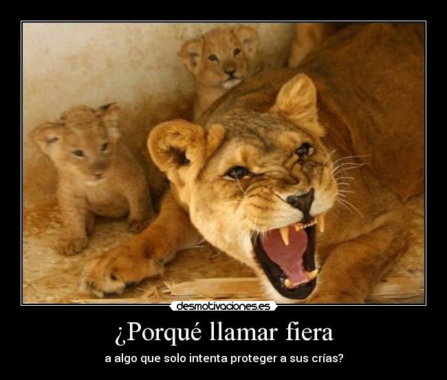 ¿Porqué llamar fiera - a algo que solo intenta proteger a sus crías?