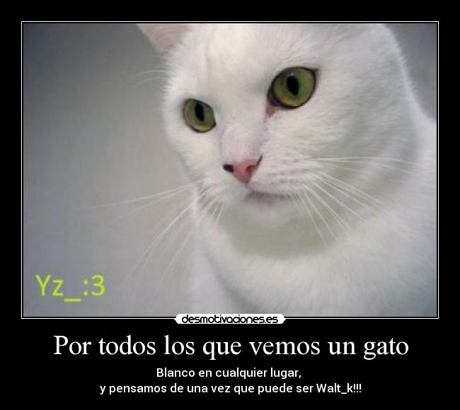carteles walt_k everywhere desmotivaciones