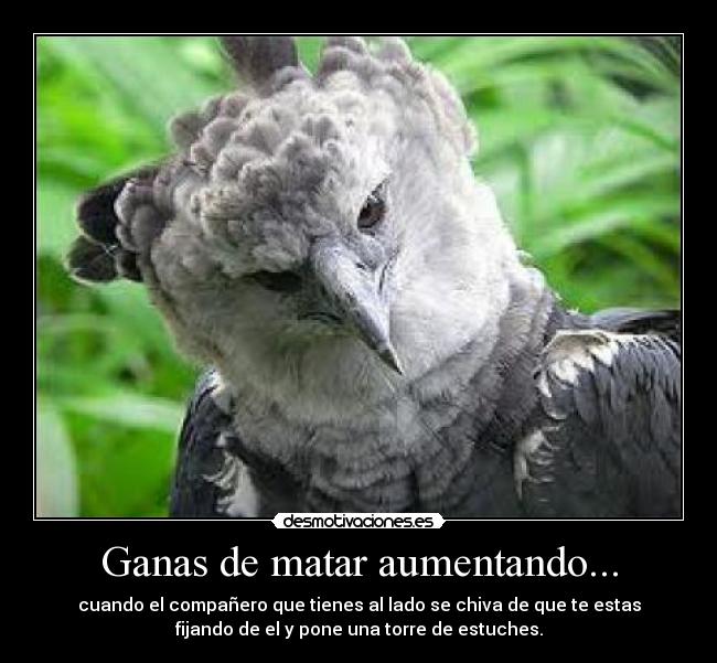 Ganas de matar aumentando... - 