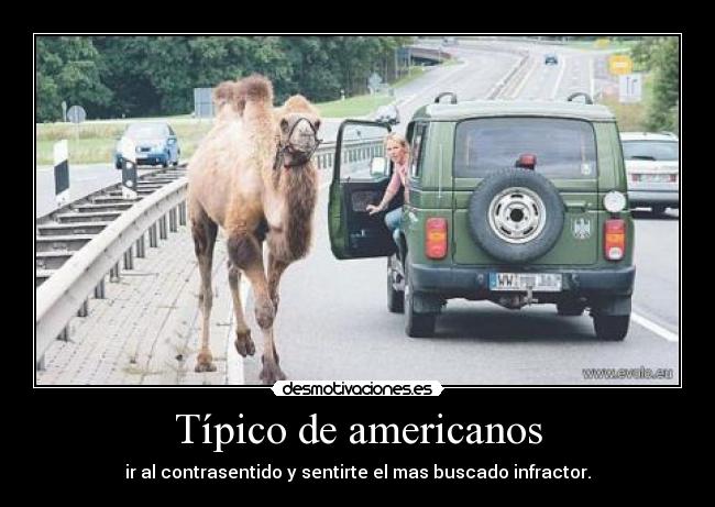 Típico de americanos - 