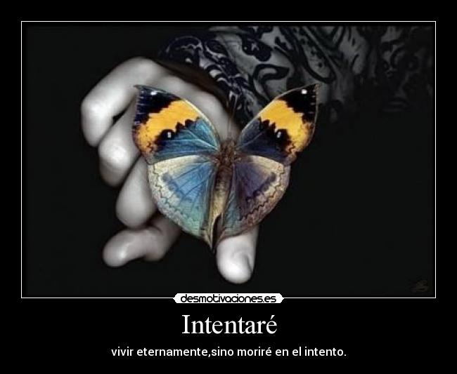 Intentaré - 