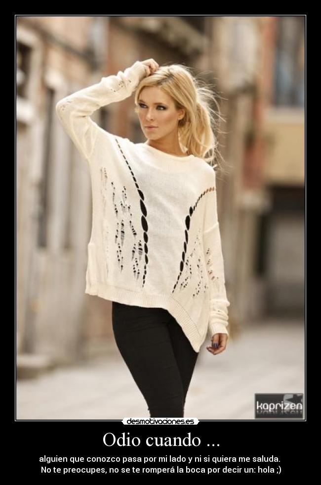 carteles odio sss desmotivaciones