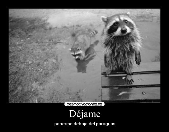 Déjame - ponerme debajo del paraguas