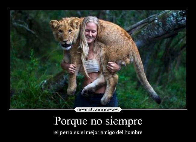 Porque no siempre - el perro es el mejor amigo del hombre