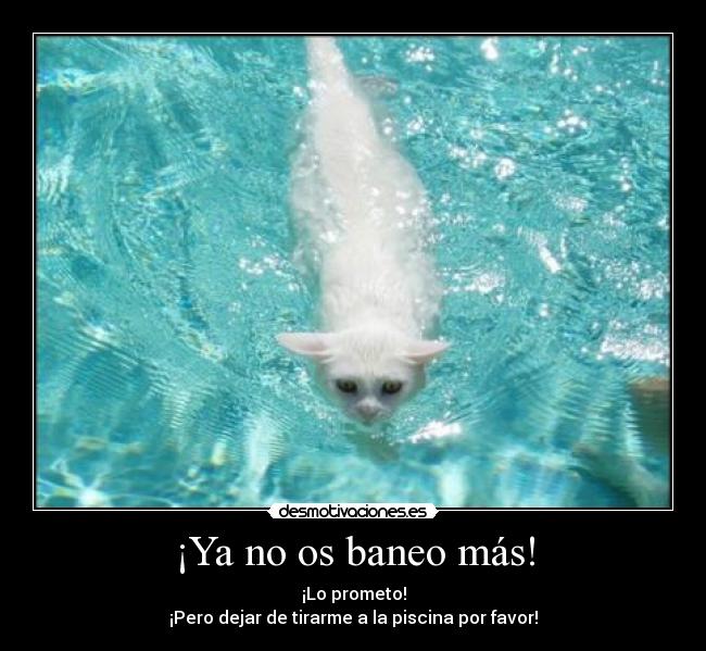 ¡Ya no os baneo más! -