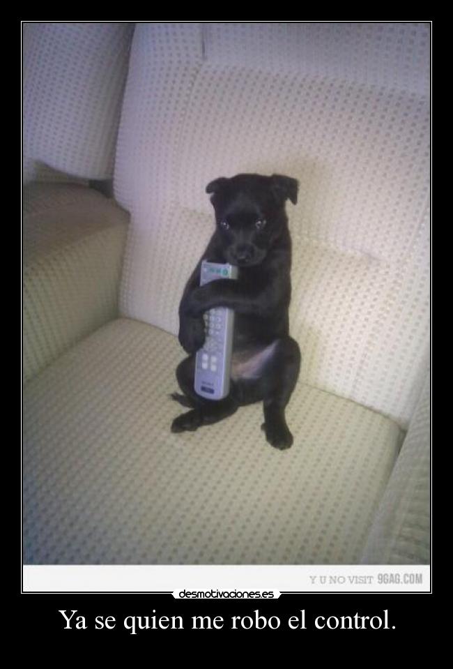 Ya se quien me robo el control. -