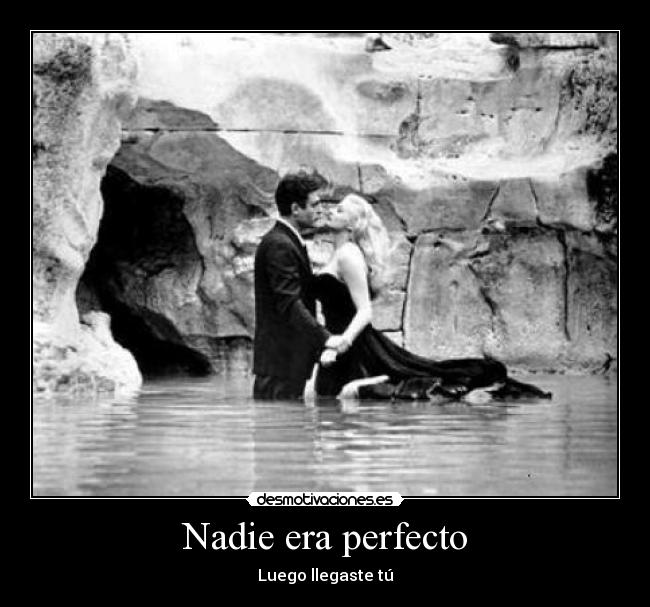 Nadie era perfecto - 