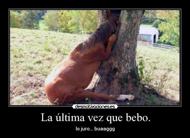 La última vez que bebo. - lo juro... buaaggg