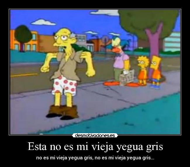 Esta no es mi vieja yegua gris -