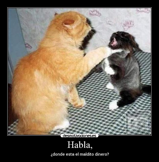 Habla, - 