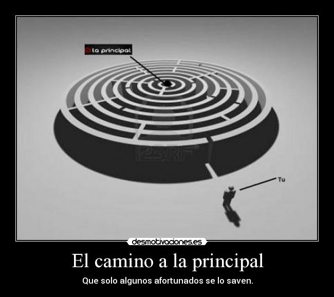 carteles desmotivaciones