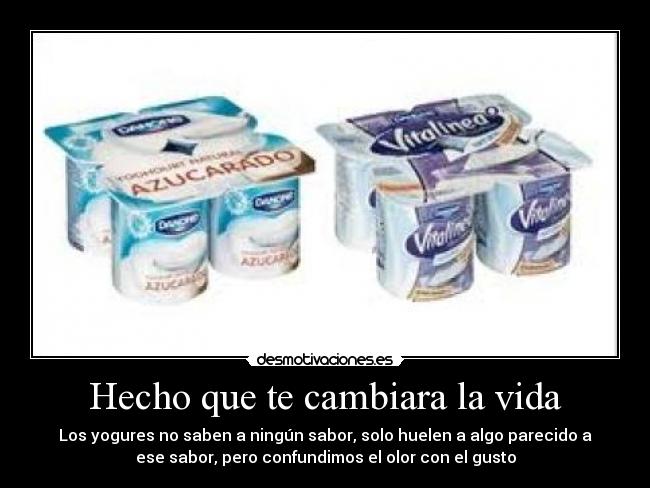 carteles vida desmotivaciones