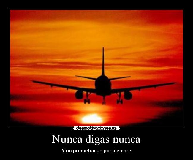 Nunca digas nunca - Y no prometas un por siempre