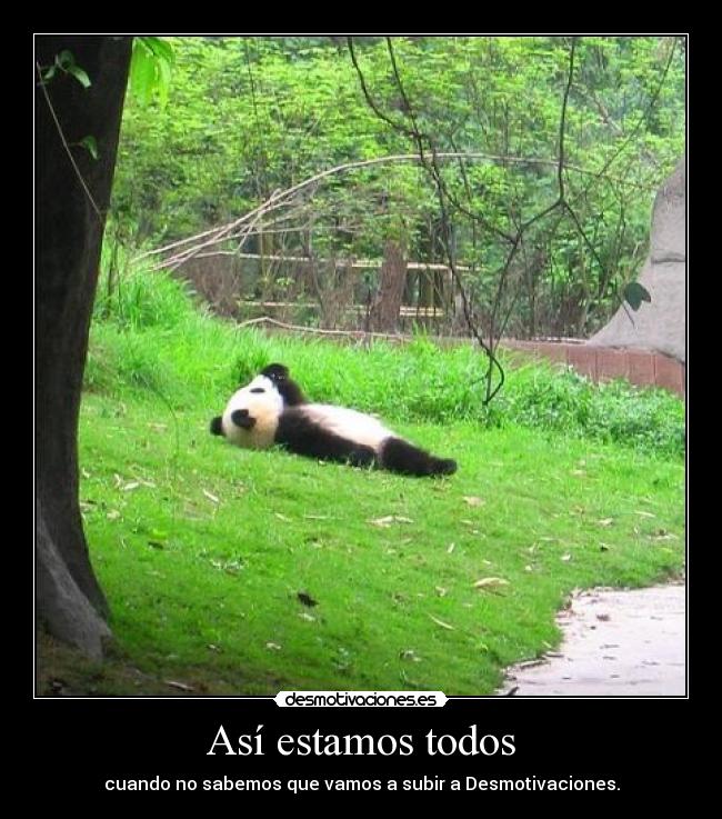 Así estamos todos - 