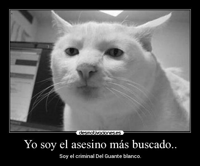 Yo soy el asesino más buscado.. - 