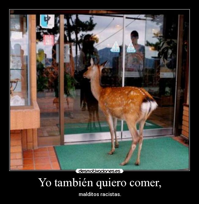 Yo también quiero comer, -