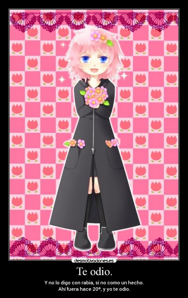 Te odio. - 