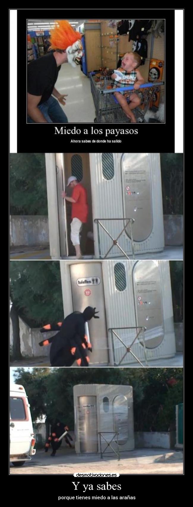 Y ya sabes - porque tienes miedo a las arañas