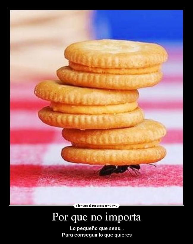 Por que no importa -