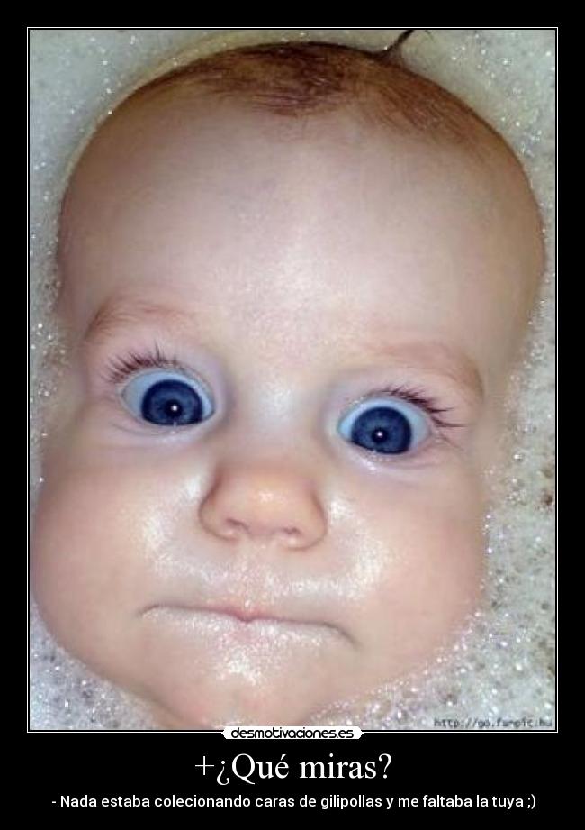 +¿Qué miras? - - Nada estaba colecionando caras de gilipollas y me faltaba la tuya ;)