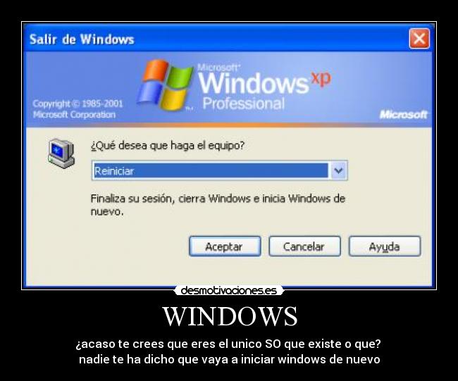 WINDOWS - ¿acaso te crees que eres el unico SO que existe o que?
nadie te ha dicho que vaya a iniciar windows de nuevo