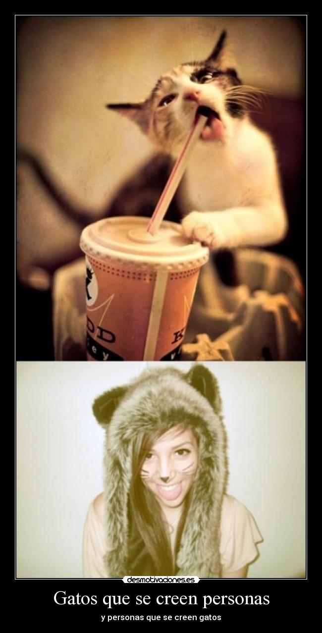 Gatos que se creen personas -